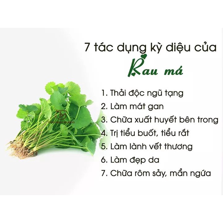 [Dalahouse] Bột rau má nguyên chất sấy lạnh Dalahouse 60 gr - Hộp 20 gói * 3gr