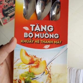 Combo 10 thìa Inox cán dài ( thìa lipton)