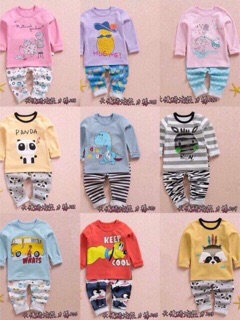 Combo 5 bộ cotton cao cấp