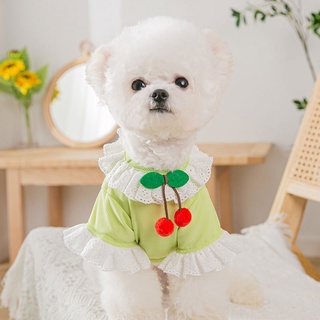 Áo thun dễ thương cho thú cưng