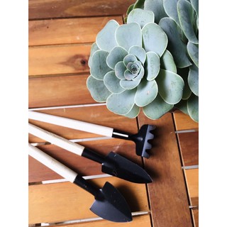 Dụng Cụ Làm Vườn (MINI) - Phụ Kiện Sen Đá