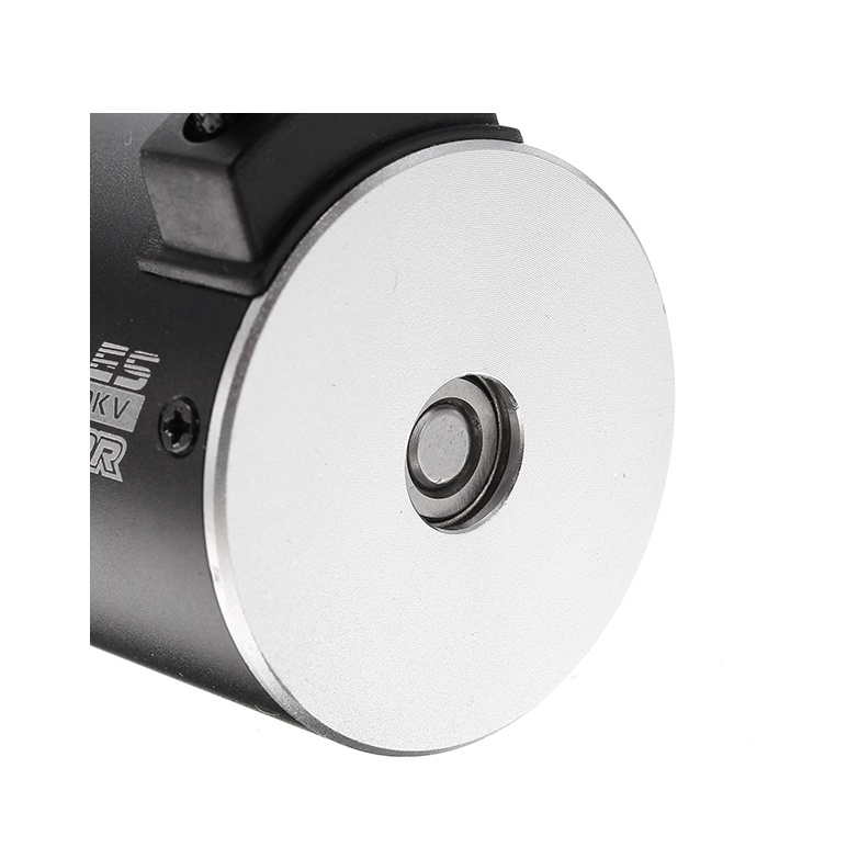 Động cơ 3650 RacerStar 3100KV 3900KV không chổi than brushless