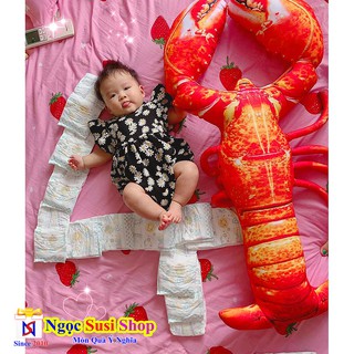 GẤU BÔNG TÔM HÙM ALASKA KHỔNG LỒ