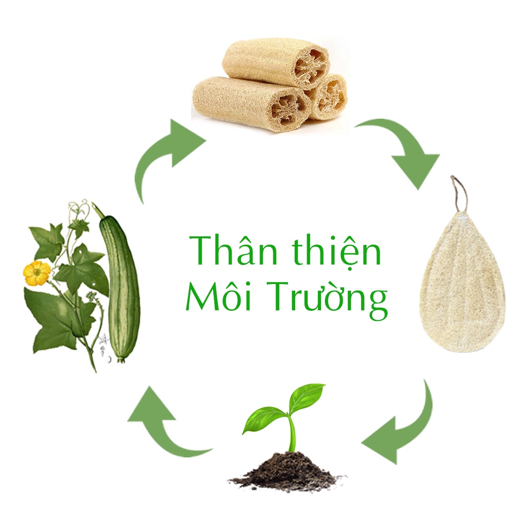 Miếng rửa chén bát xơ mướp tự nhiên,tạo bọt,mềm mại với da tay