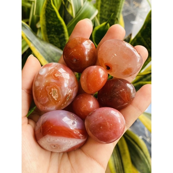 Viên sỏi đá Năng Lượng Mã não đỏ, Tumble đá Carnelian