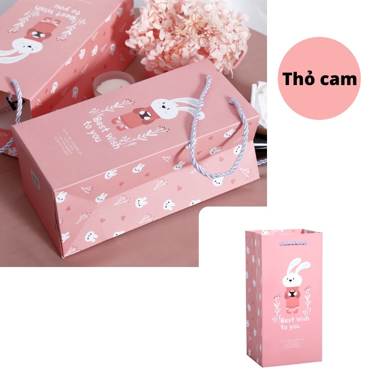 [Ảnh thật] Bộ Sưu Tập Túi Đựng Quà Cao Cấp ERASHOP - Tặng Bạn Bè, Thầy Cô, Người Yêu Dịp Sinh Nhật, Valentine Rẻ Đẹp