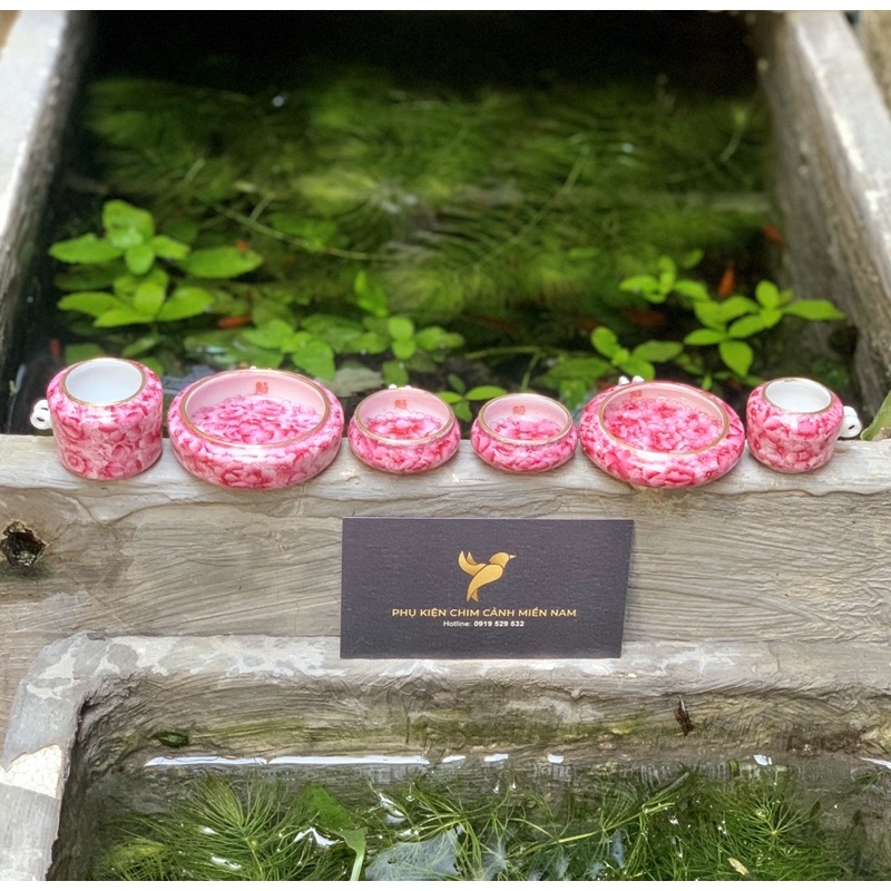 Cóng chim vẽ tay - VẠN HOA RUBY