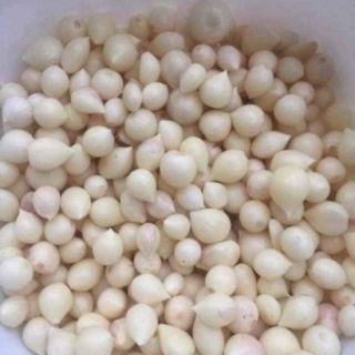 500gr tỏi cô đơn Sơn La