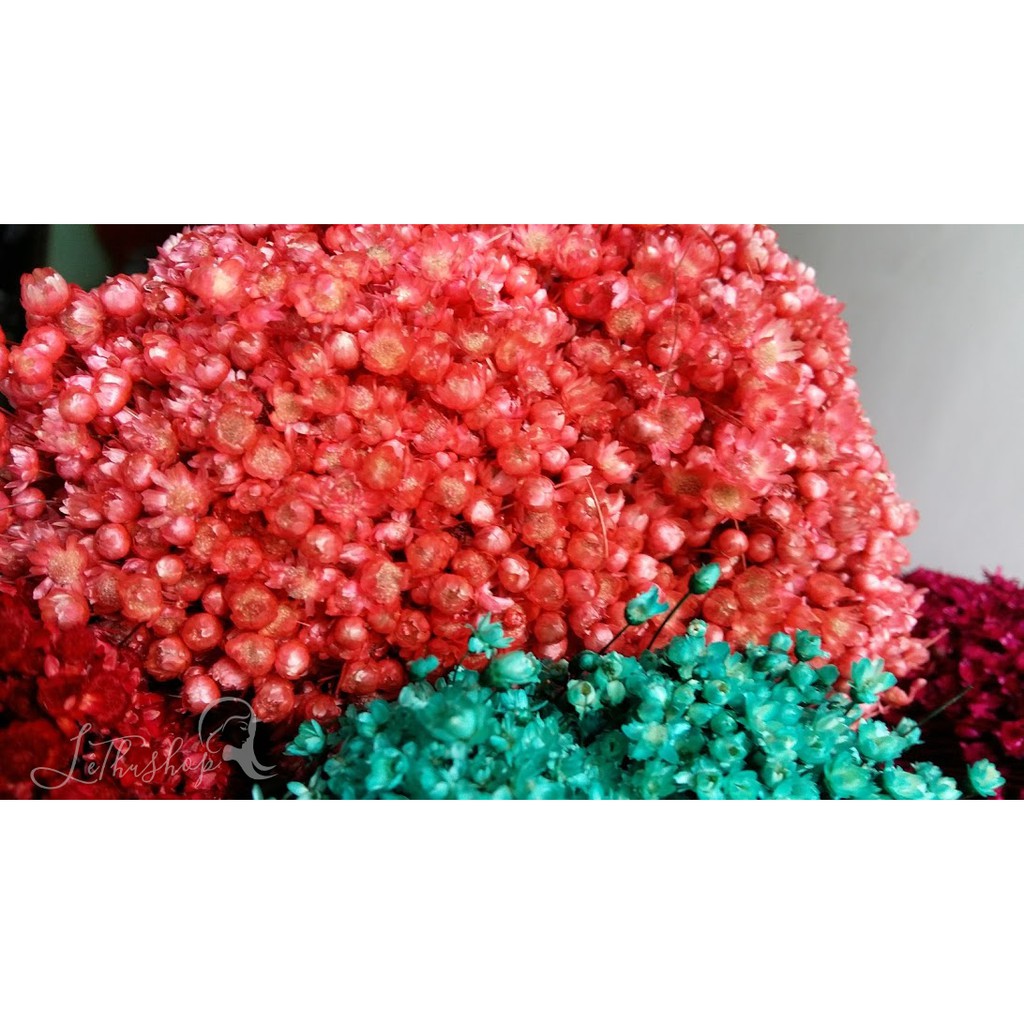 Bó hoa Glixia màu hồng mới