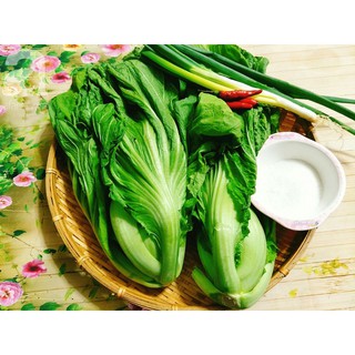 20g Hạt giống Cải Bẹ Dưa
