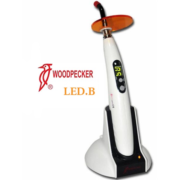S1000001034 - Đèn Led B Woodpecker A