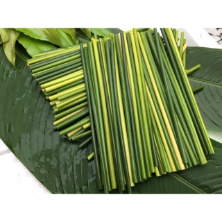 Combo 1000 ống hút cỏ bàng tưoi tặng thêm 100 ống