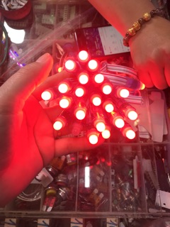 Led 7 mầu phi 8 đế 12