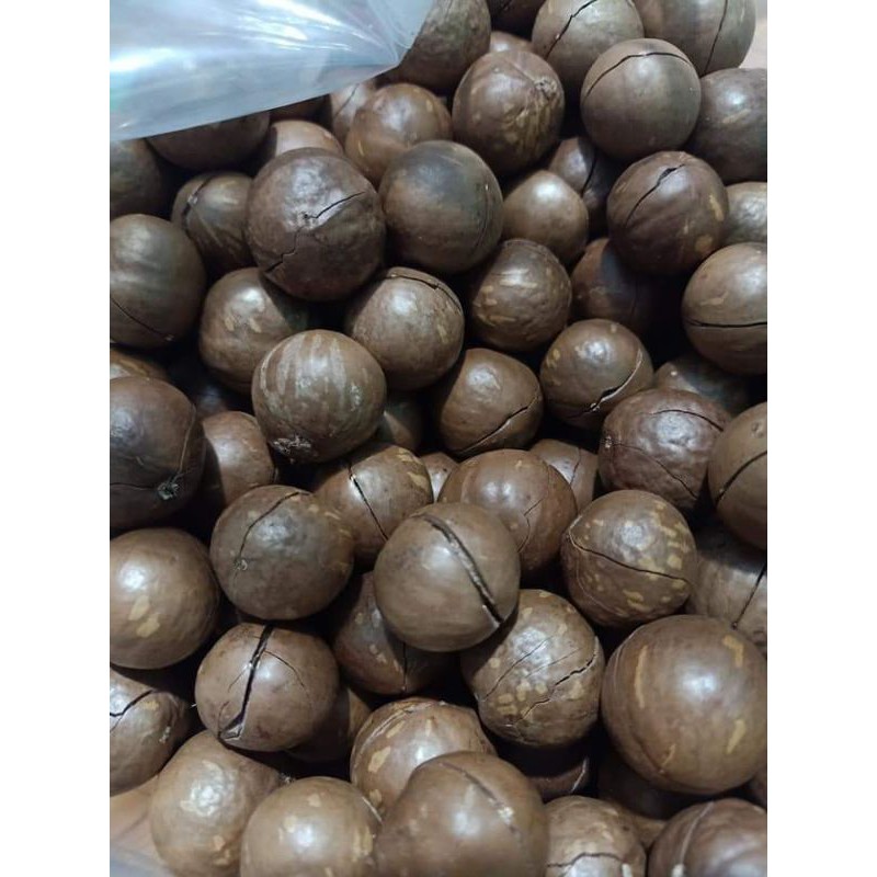 [Mã 267FMCGSALE giảm 8% đơn 500K] 500g HẠT MACA DAKLAK (túi hút ck) | BigBuy360 - bigbuy360.vn