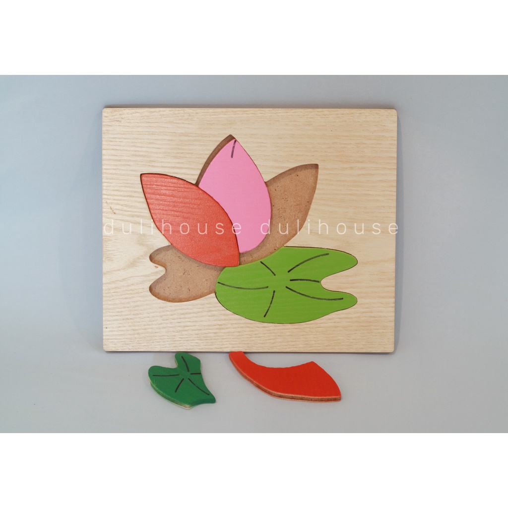 Tranh ghép các loại hoa quả bằng gỗ Winwintoys sơn màu Hỗ trợ bé nhận biết thực vật sản xuất tại Việt Nam