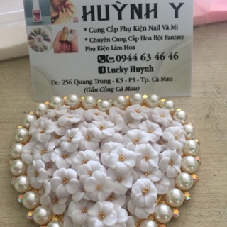 Hoa đậu ( nail)