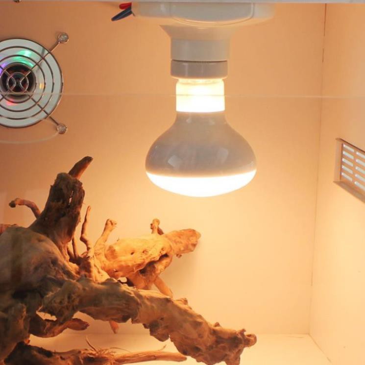 Đèn sưởi ngày cho bò sát UVA