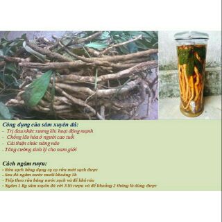2kg sâm xuyên đá
