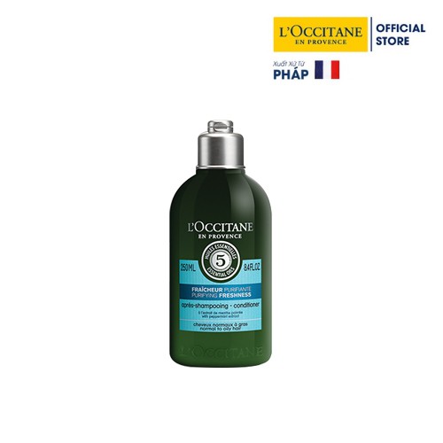 [Mã FMCGM100 - 10% đơn 500K] Bộ sản phẩm gội xả dành cho tóc dầu L'Occitane Purifying Shapoo 300ml &amp; Conditioner 250ml