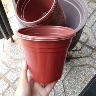 Combo 10 chậu nhựa trồng cây 120x106mm