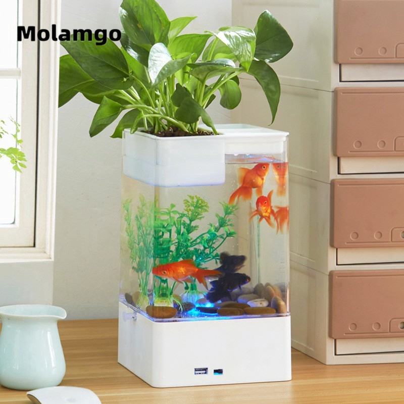 MOLAMGO  Bể Cá Cảnh Mini Tự Thay Nước Tiện Lợi