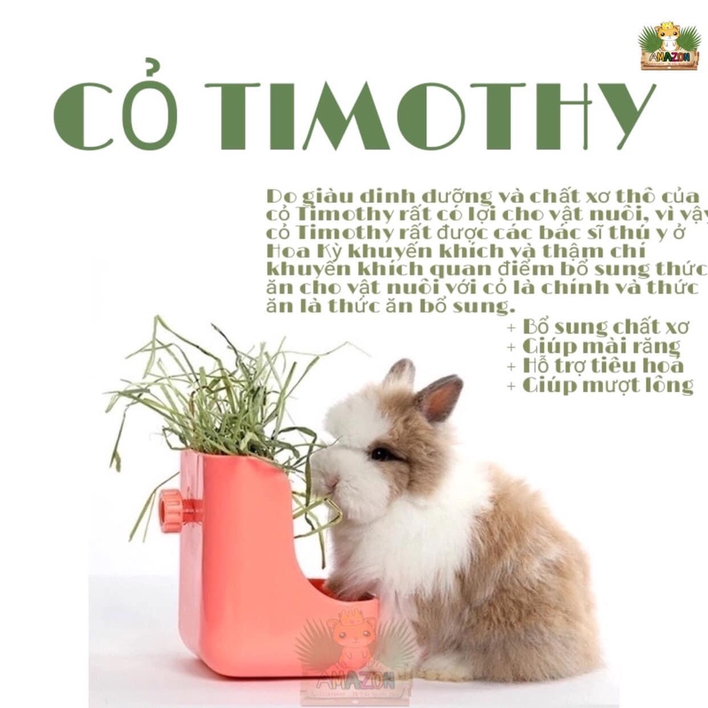 Cỏ TIMOTHY cao cấp 500g