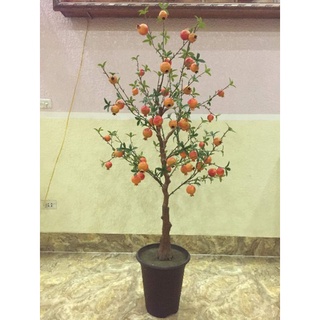 Hoa lụa - cây cảnh