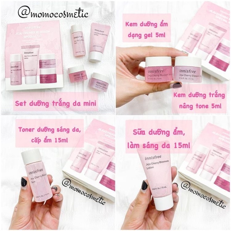 Kit hoa anh đào Innisfree Cherry Blossom