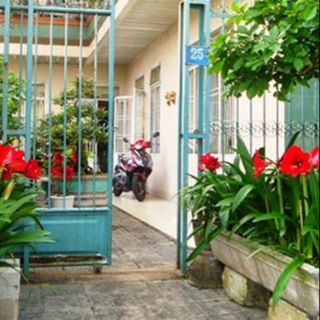 Combo 15 củ hoa loa kèn mix ba màu hồng, đỏ, trắng