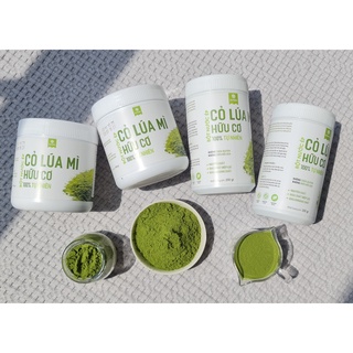 Combo Hạt giống cỏ lúa mì hữu cơ và Bột cỏ lúa mì hữu cơ 150gram