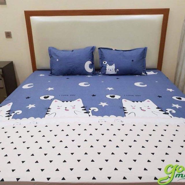 Vỏ gối chống thấm