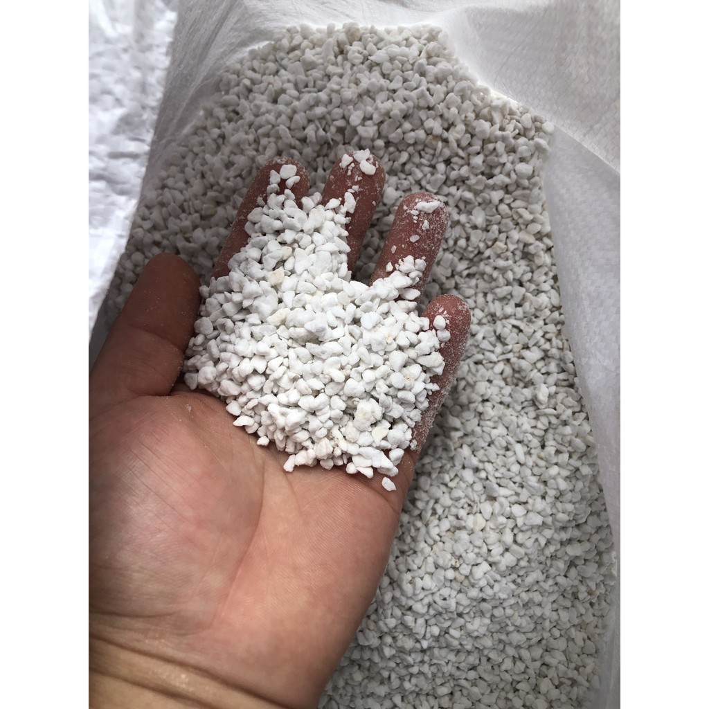 100g Đá Perlite - Đá trân châu trồng cây cảnh