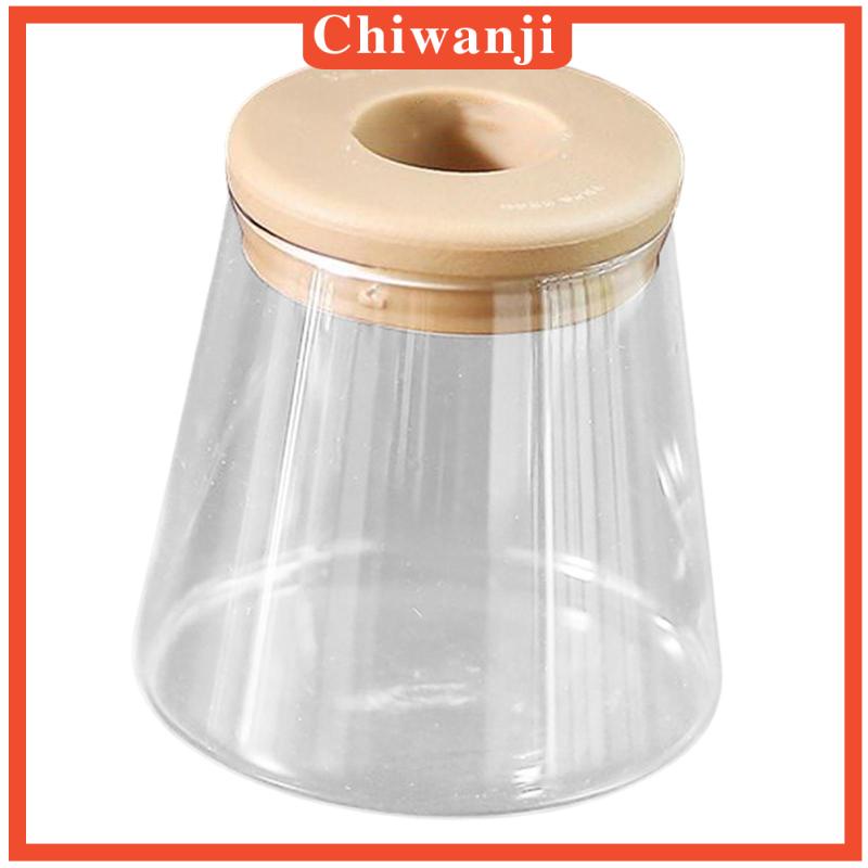 Chậu Hoa Để Bàn Trang Trí