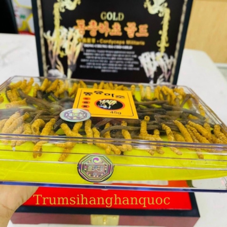 - ĐÔNG TRÙNG HẠ THẢO NGUYÊN CON, HỘP GỖ 45G [ Hàng Mới Về ]