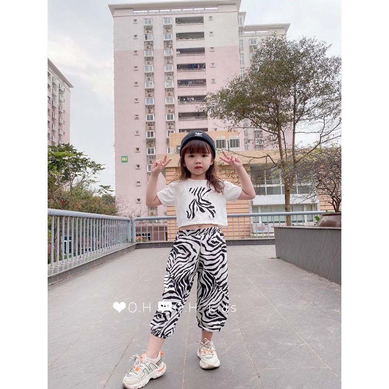 Sét áo quần trẻ em HC31: áo thun cotton ngắn tay in hình gấu + quần hiphop viền siu siu cho bé gái cực yêu