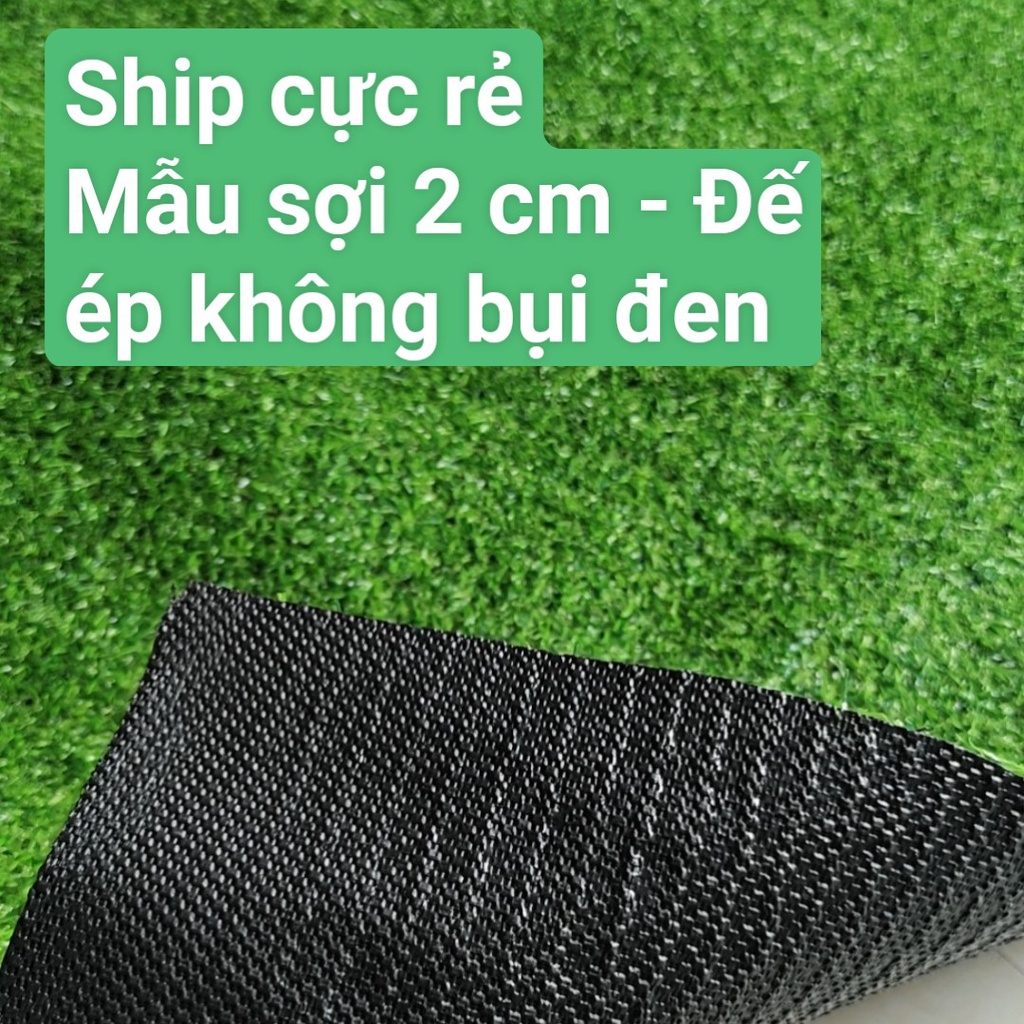 Thảm Cỏ Nhân Tạo Sợi 2 cm - Đế dù dày dặn Giá Xưởng