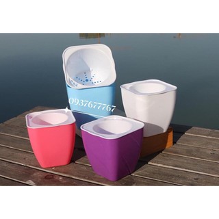 chậu trồng thông minh 2 lớp