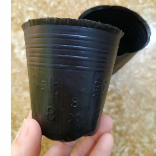 Túi bầu ươm cây size 8-8 ươm hạt, ươm cây nhỏ