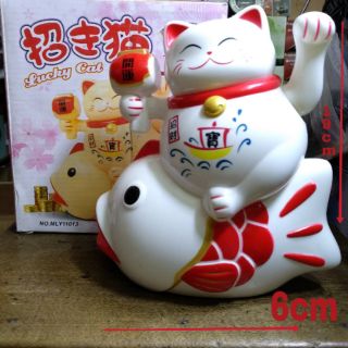 Mèo Cá chiêu Tài Nhỏ