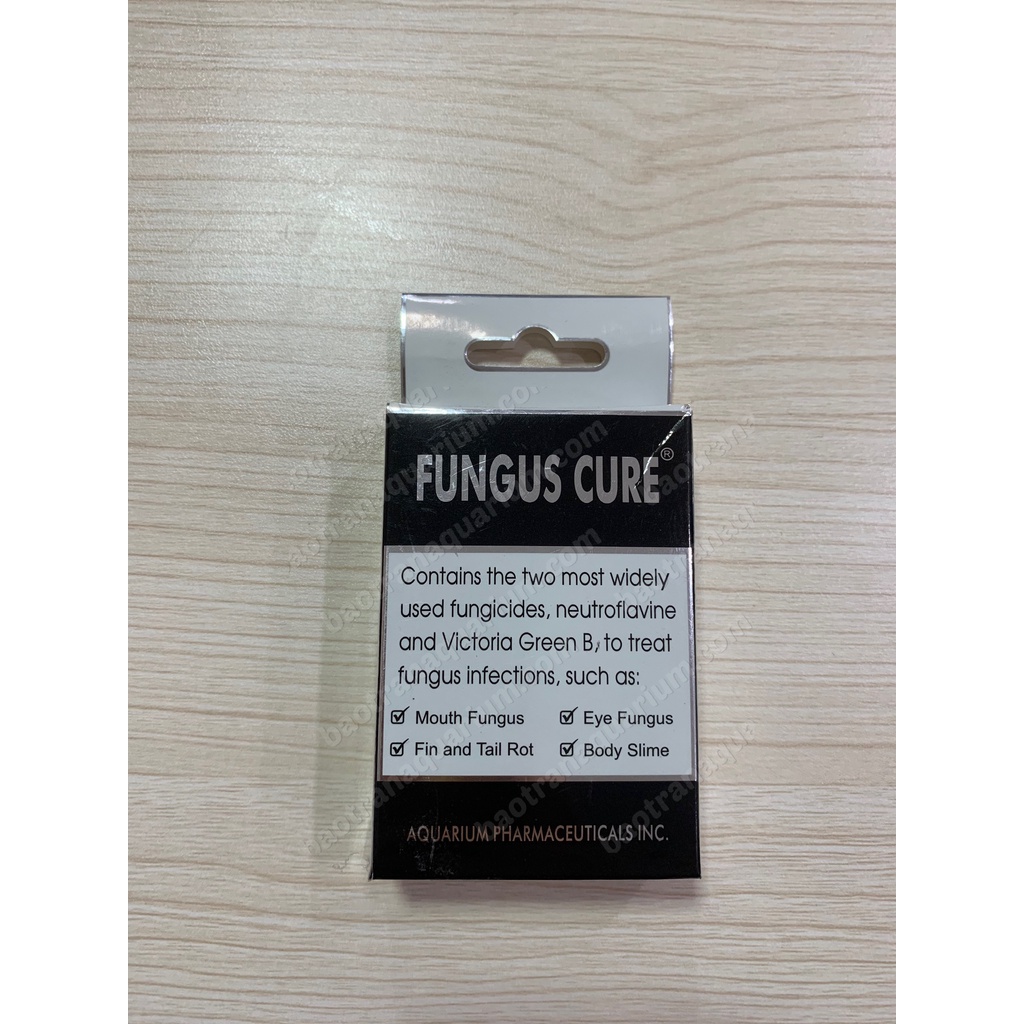 Thuốc trị nấm Fungus Cure cho cá cảnh