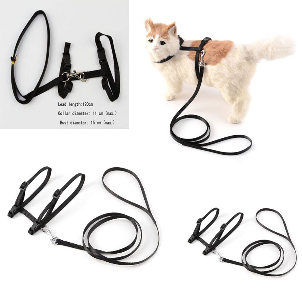 Đai lưng kèm dây dắt mèo cưng tiện dụng