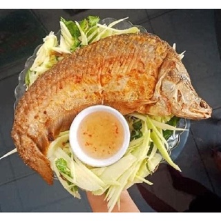 THÁC LÁC RÚT XƯƠNG