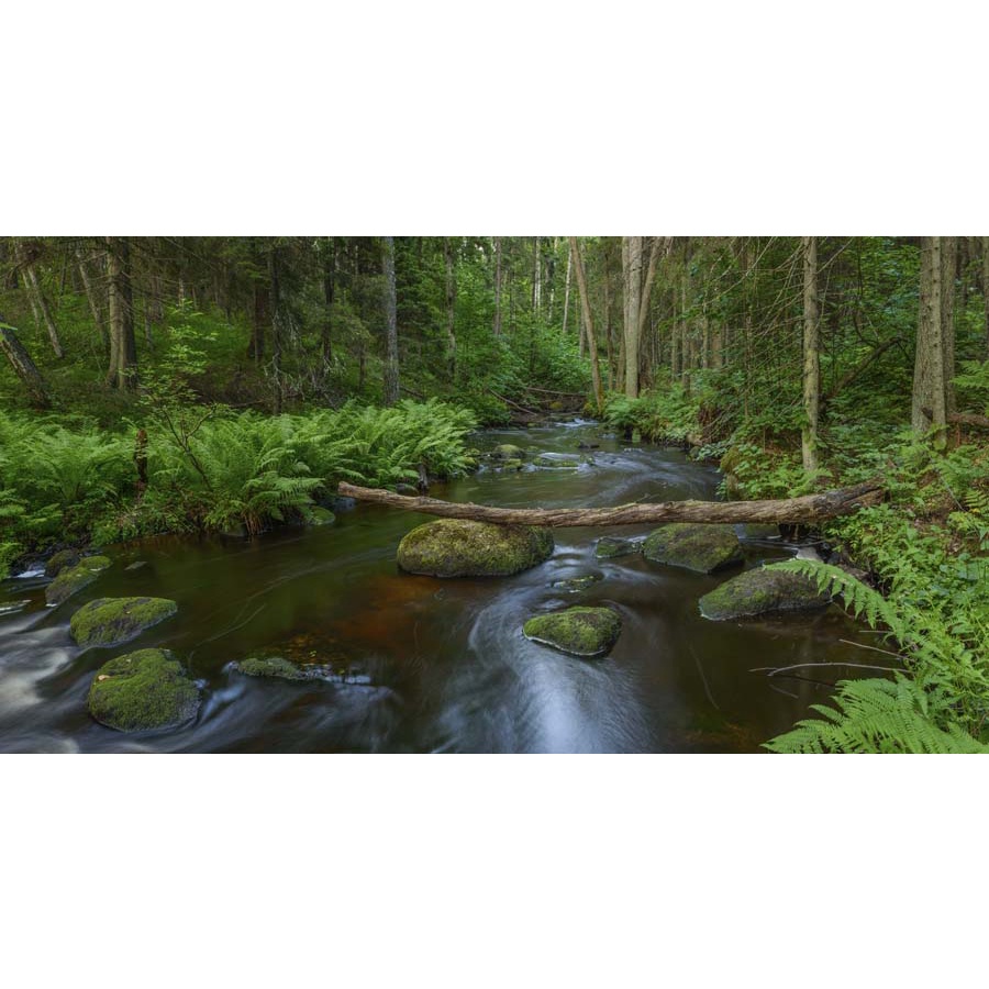 Tranh dán tường 3d thác nước chảy rì rầm, những hạt bụi nước li ti bắn lên cao, ánh nắng rọi lên đám bụi nước