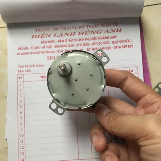 Mô tơ cánh vẫy to
