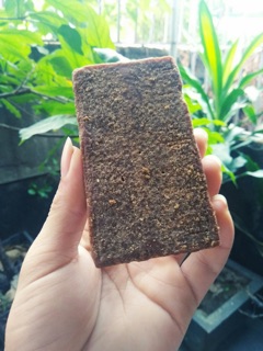 Combo 5kg đường phên