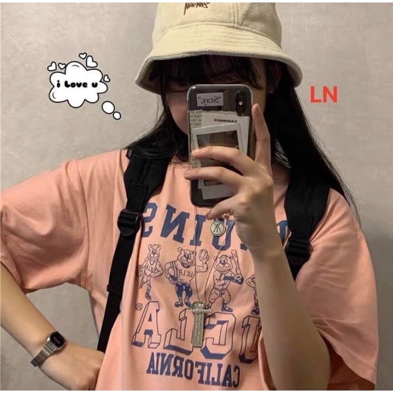 Áo phông 4 gấu BRUINS DA6