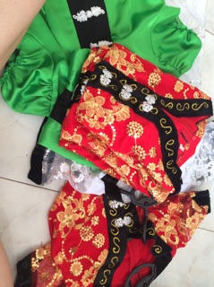 Áo dân tộc thái