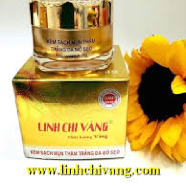 Kem Mụn - Thâm - Trắng Da - Mờ Sẹo Linh Chi Vàng 25g