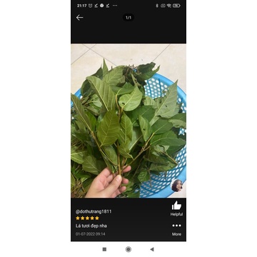 Lá sung tươi 500g