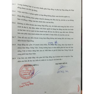 Bột tạo phồng Volcanic Ash - 25g